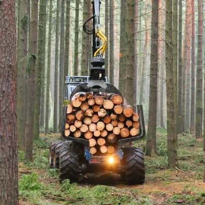 Logging