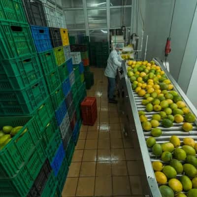 Produce